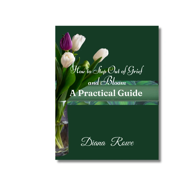 007787884507-book-practical-guuide-2-17409730684478.png